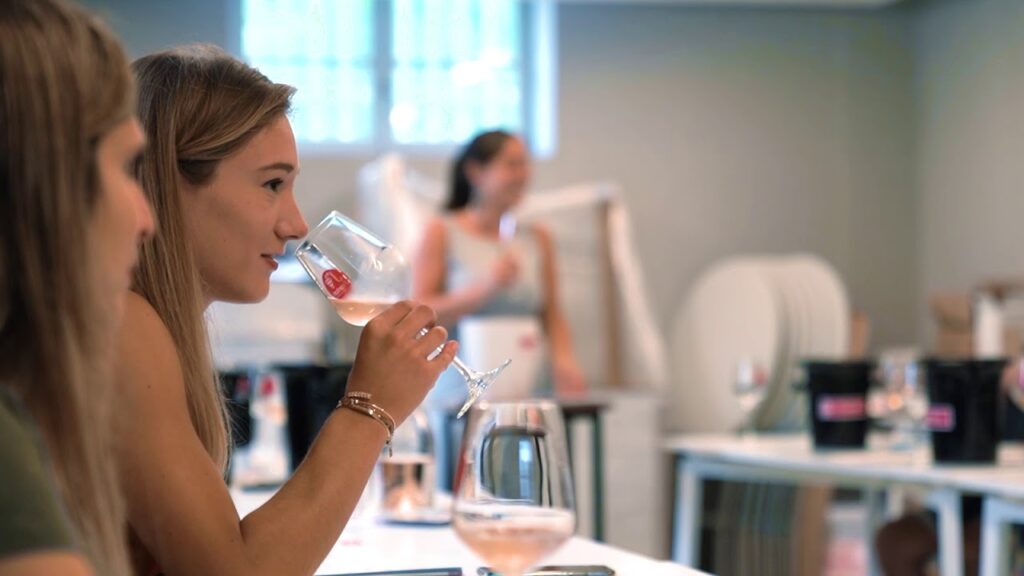 Vignoble de Fronton près de Toulouse avec rangées de vignes