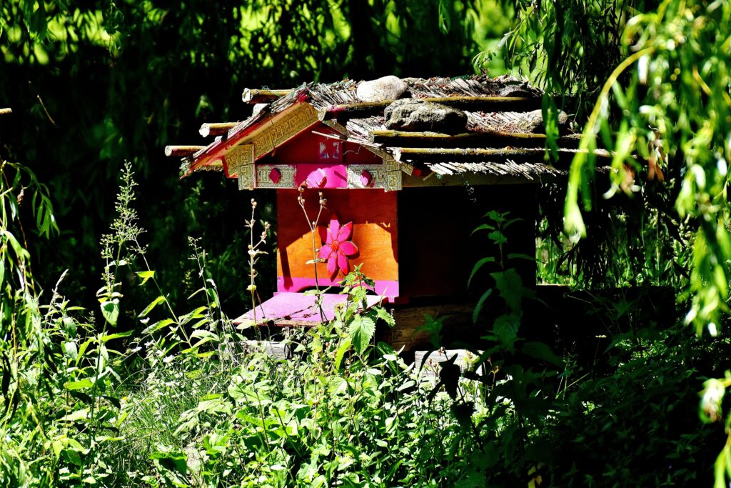 Ruche d’abeilles dans un rucher en Occitanie, illustration de l’essor de l’apiculture près de Toulouse
